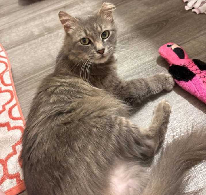 Photo of Maisy