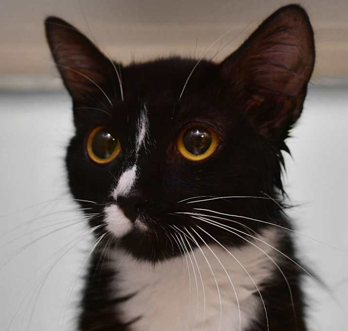 Photo of Boots