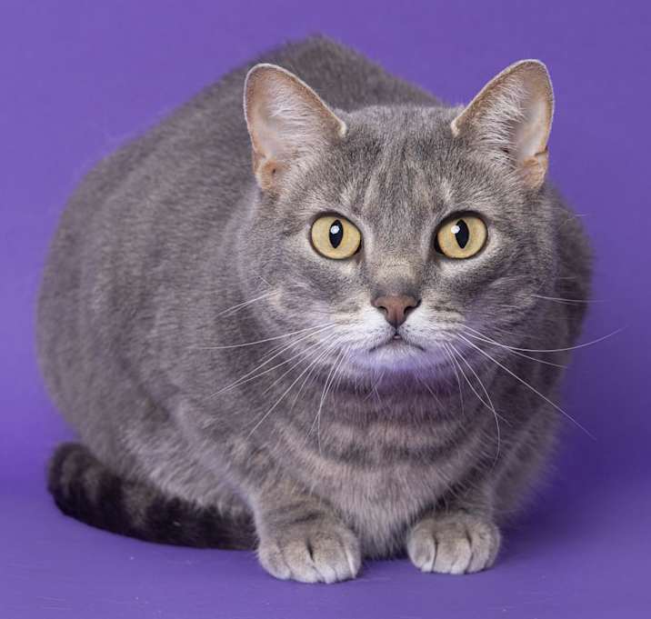 Photo of Marvin