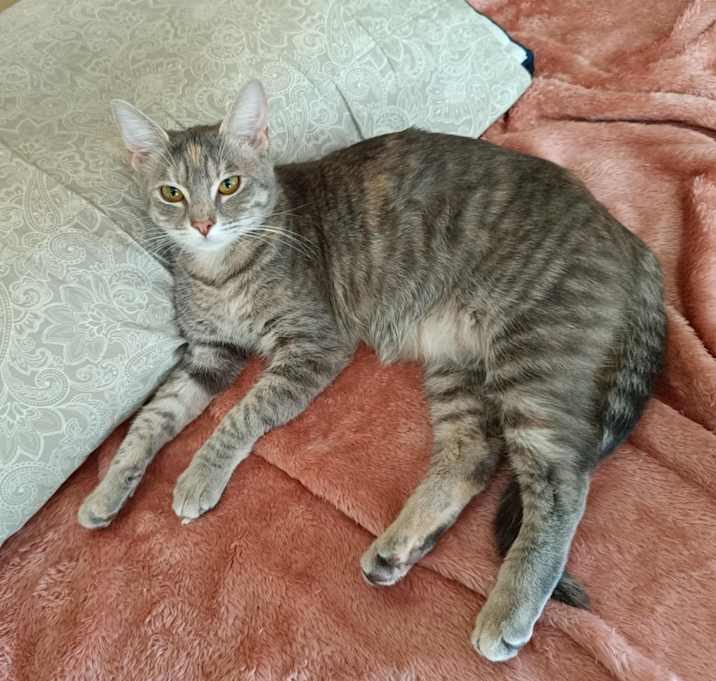 Photo of Ruby