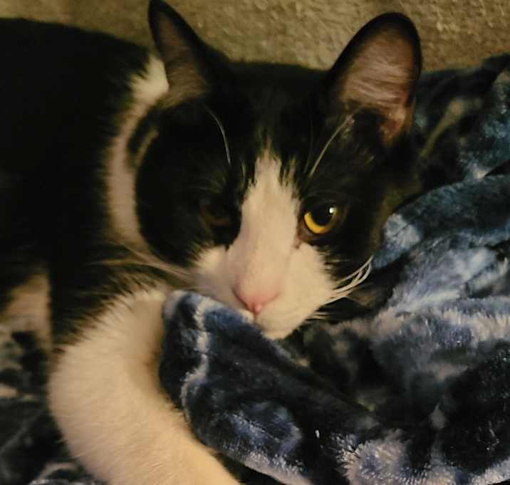 Photo of Spork
