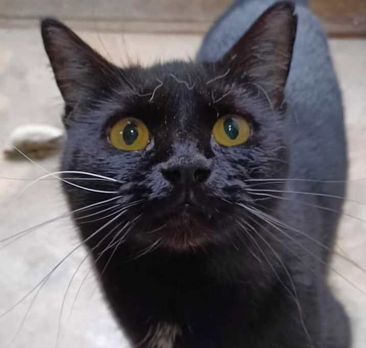 Photo of BonBon