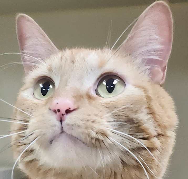Photo of Gabe