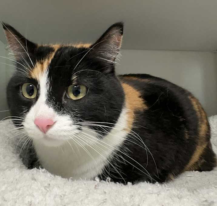 Photo of Marge(25-3740)