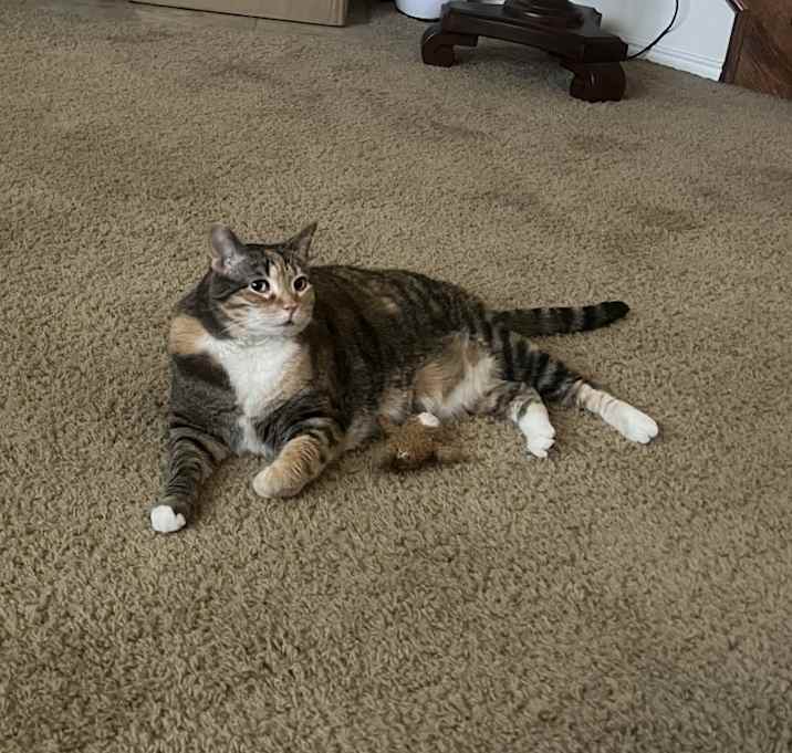 Photo of Zari