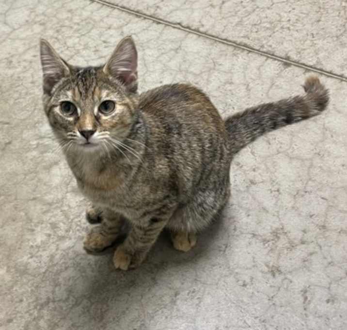 Photo of Lady Flapjack