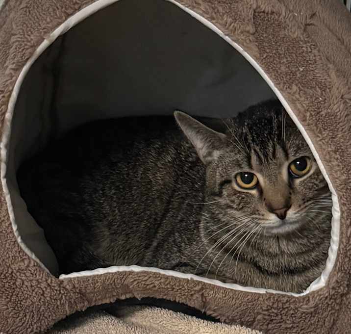 Photo of Bridgewater
