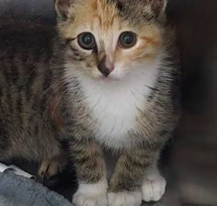 Photo of Chrissy
