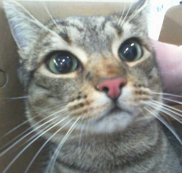 Photo of A1244571