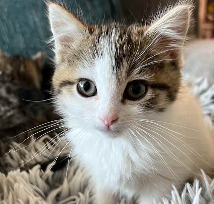 Photo of Padme