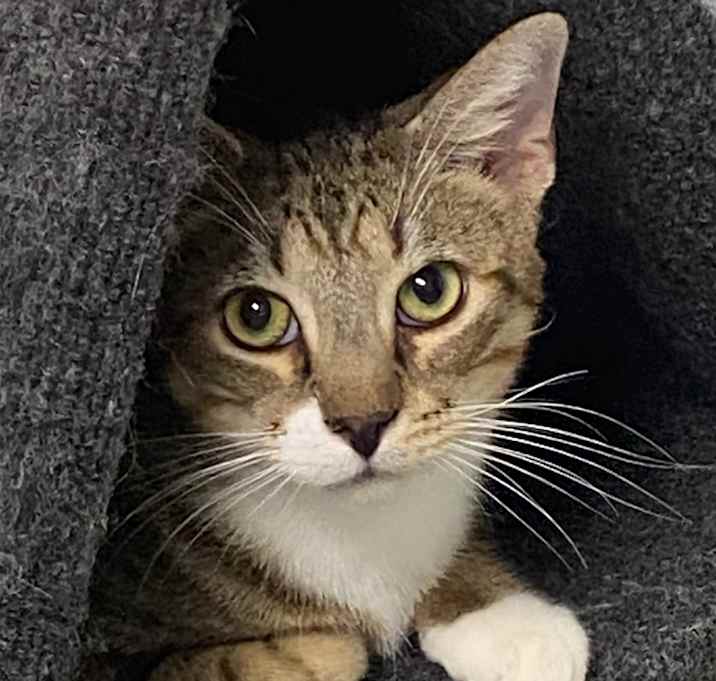 Photo of Lucky