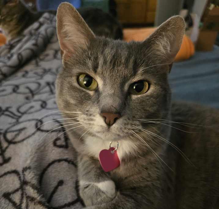 Photo of Sativa