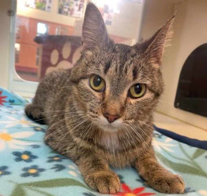 Photo of Leia