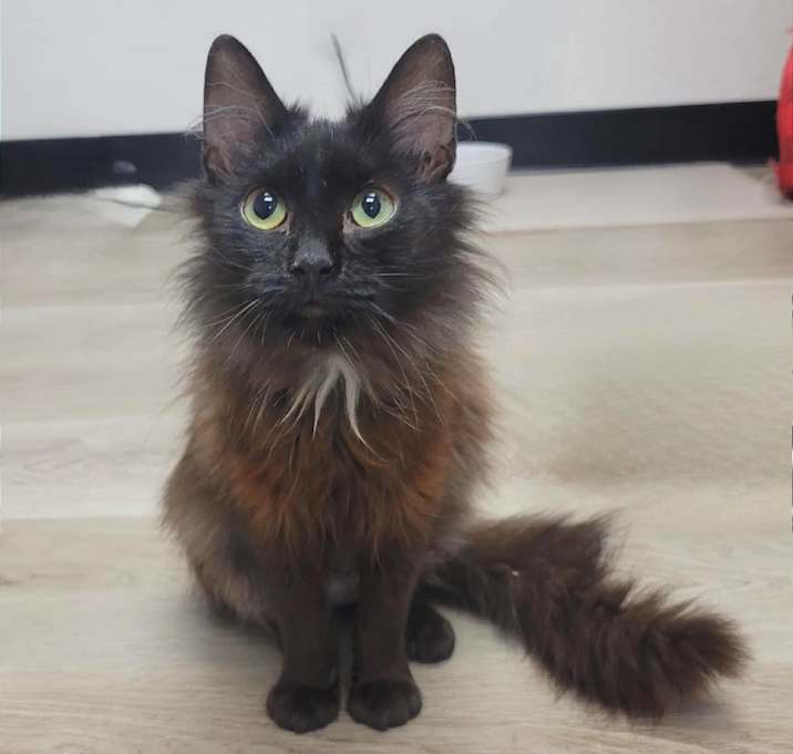 Photo of Miss Ombre
