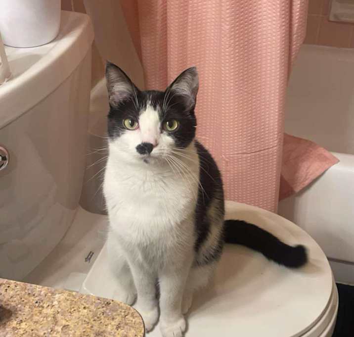 Photo of Phoebe