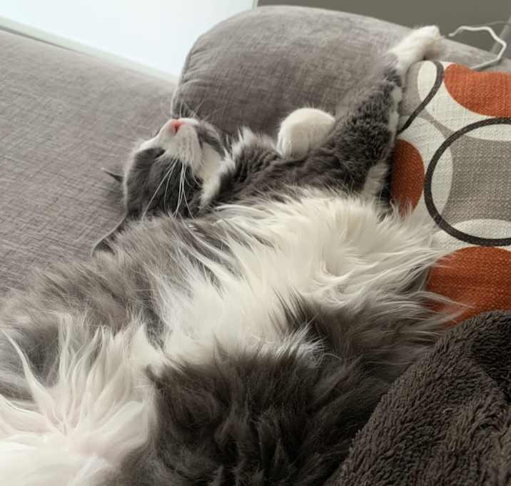 Photo of Mona
