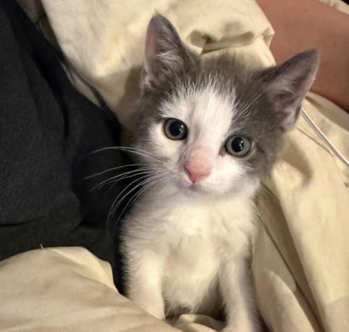 Photo of Clay 0541
