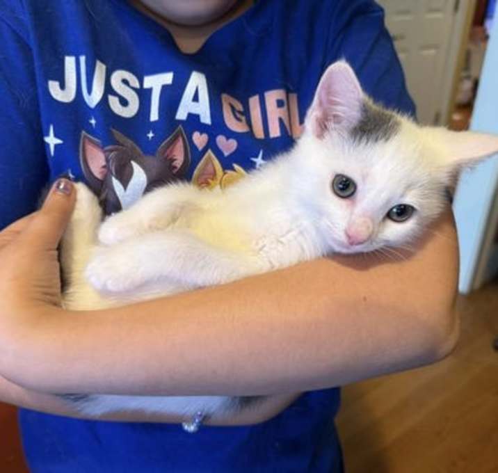 Photo of Reggie 0540