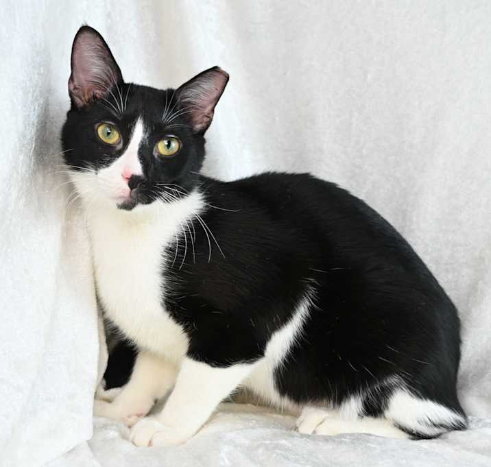Photo of Caleb