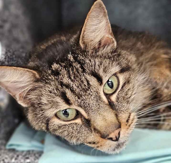 Photo of Jacob - IN FOSTER 
