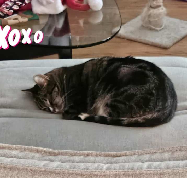 Photo of Lola