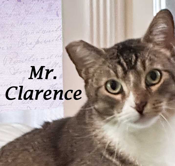 Photo of MR. CLARENCE