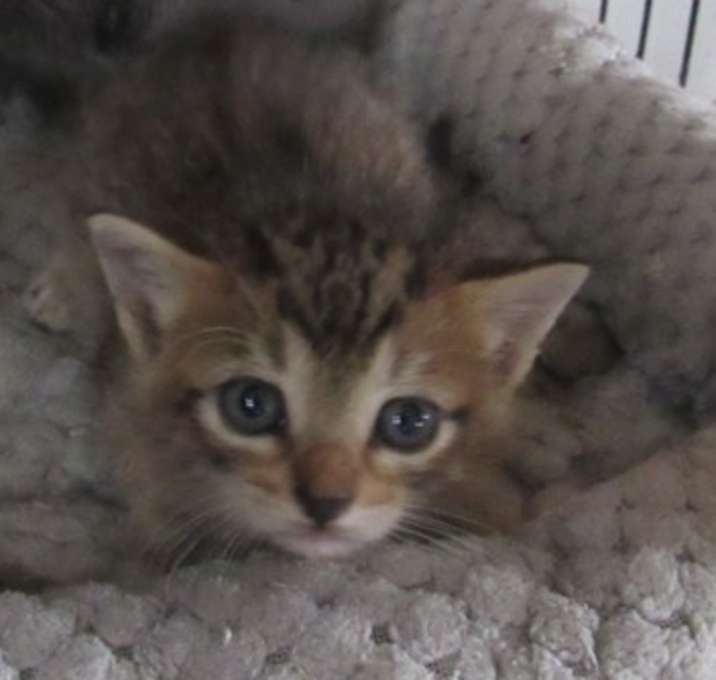 Photo of Ralphie