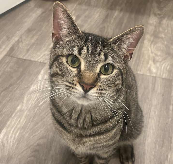 Photo of Rodney