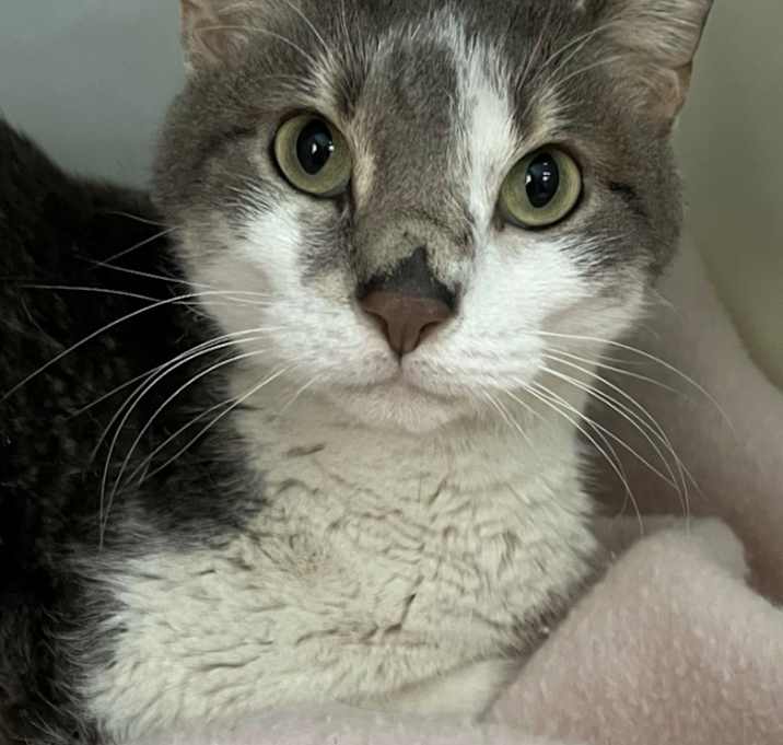 Photo of Tuesday