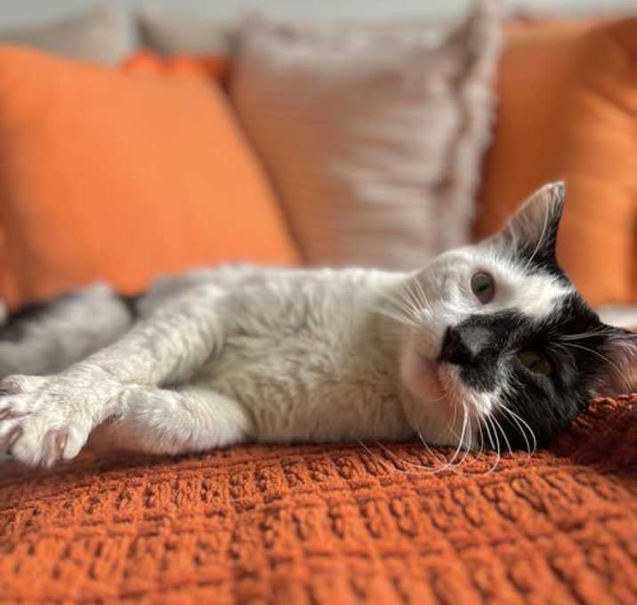 Photo of Luxardo