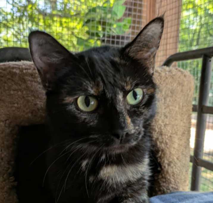 Photo of Marlo