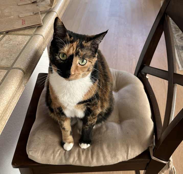Photo of Phoenix