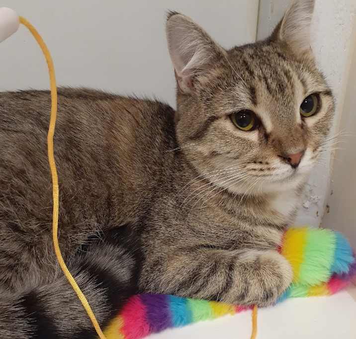 Photo of Ruby