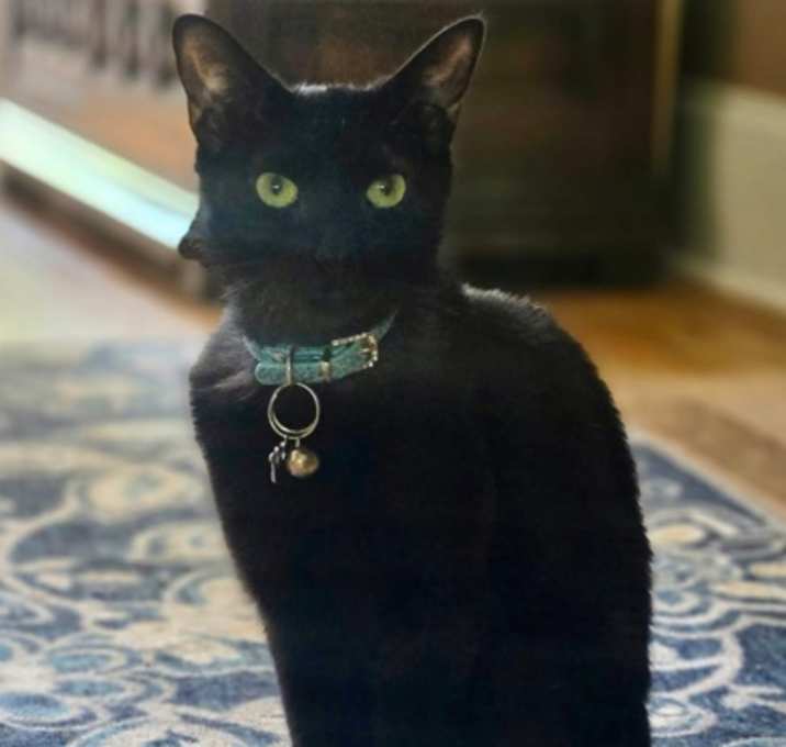 Photo of Blake