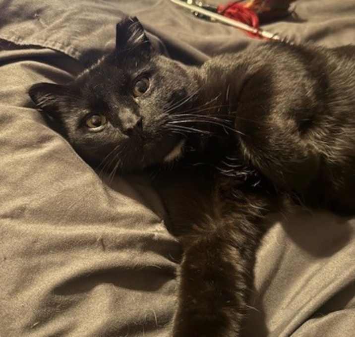 Photo of Stan
