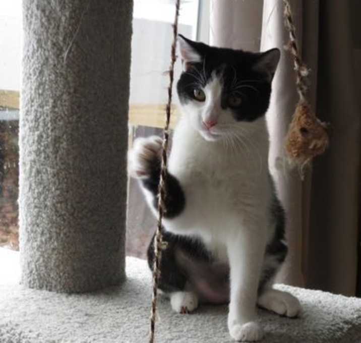 Photo of Darla