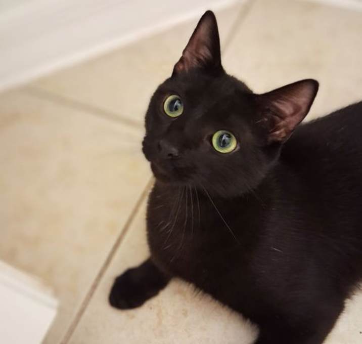 Photo of Simon