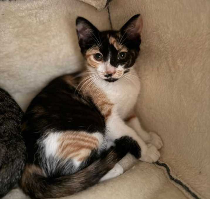 Photo of Yeisi