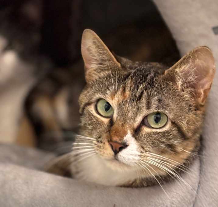 Photo of Maeve