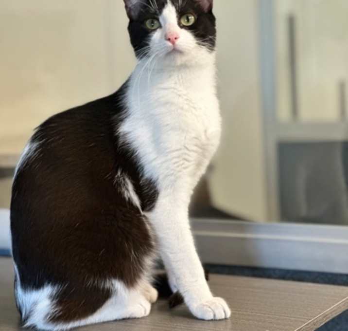 Photo of Murphy