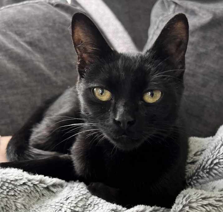 Photo of Mirabel