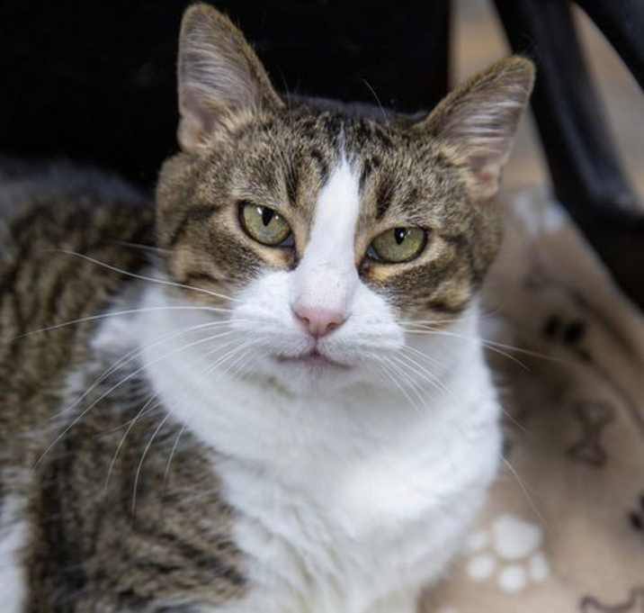 Photo of Sparkle