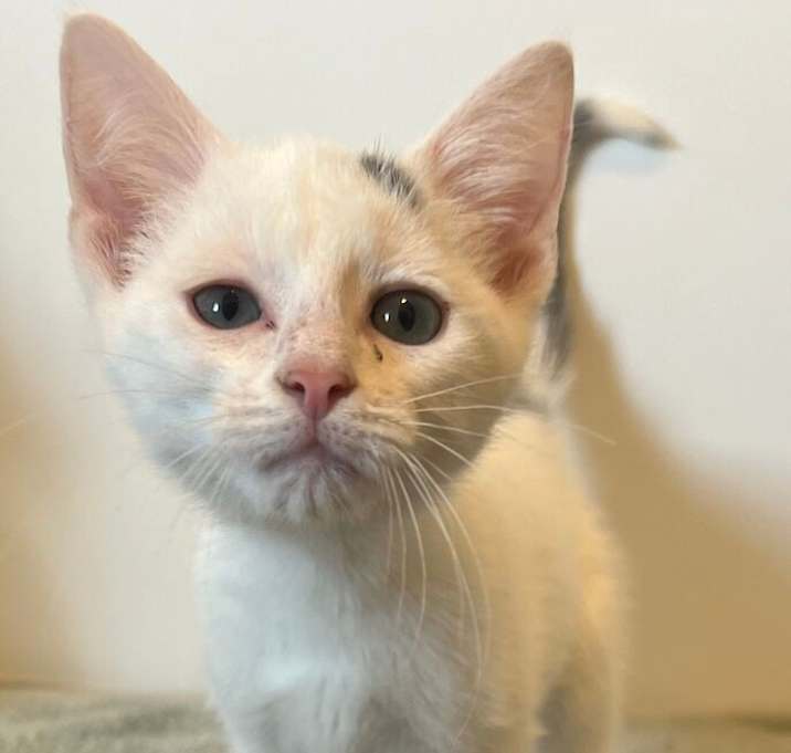 Photo of Sammy