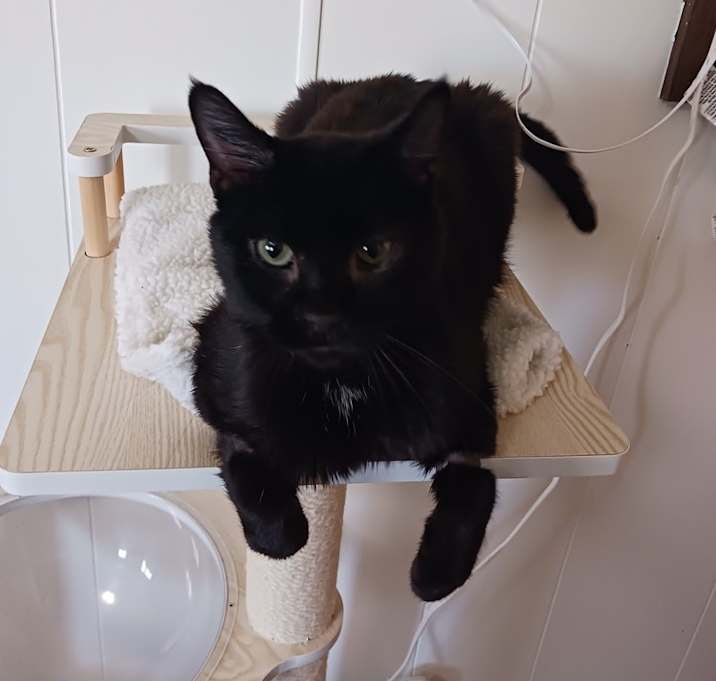 Photo of Grimm