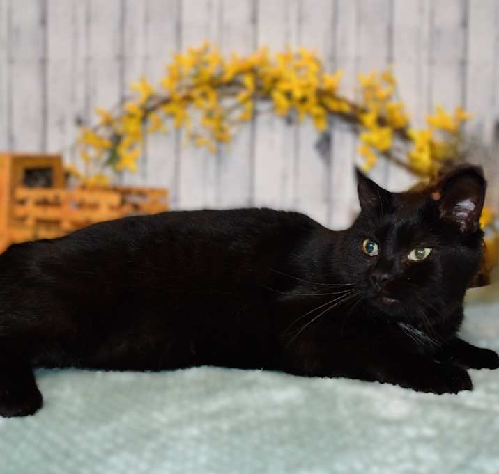 Photo of Baxter