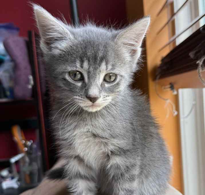 Photo of Odysseus