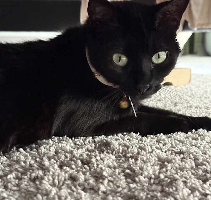 Photo of Ivy