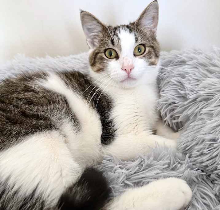 Photo of Chubba