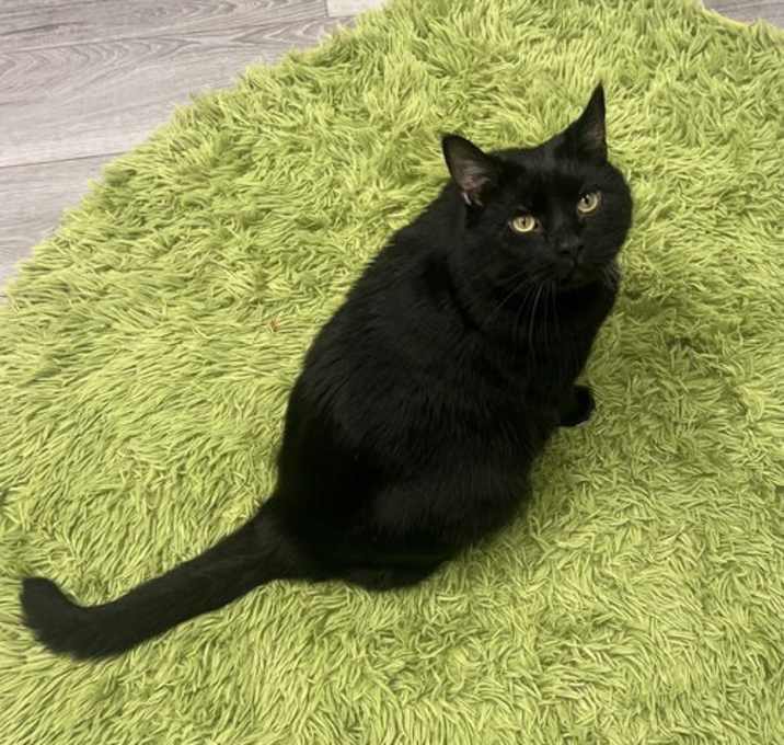 Photo of Damien- Must Apply in Person !
