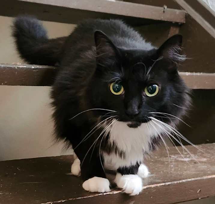 Photo of Minnie Storm-AR